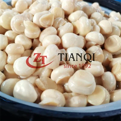 Cyfanwerthu madarch hallt mewn drymiau