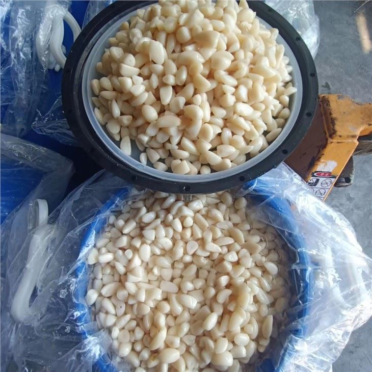Garlic in Brine With Drum