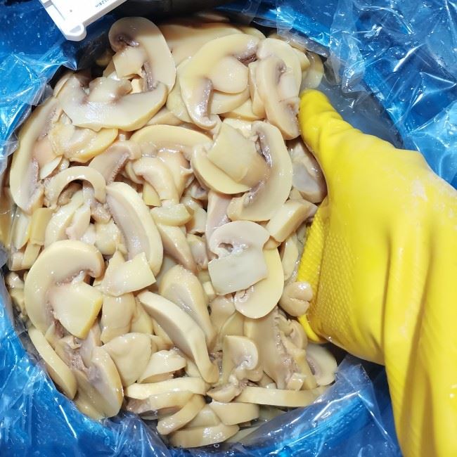 Chinese slice mushroom in SO2 for sales